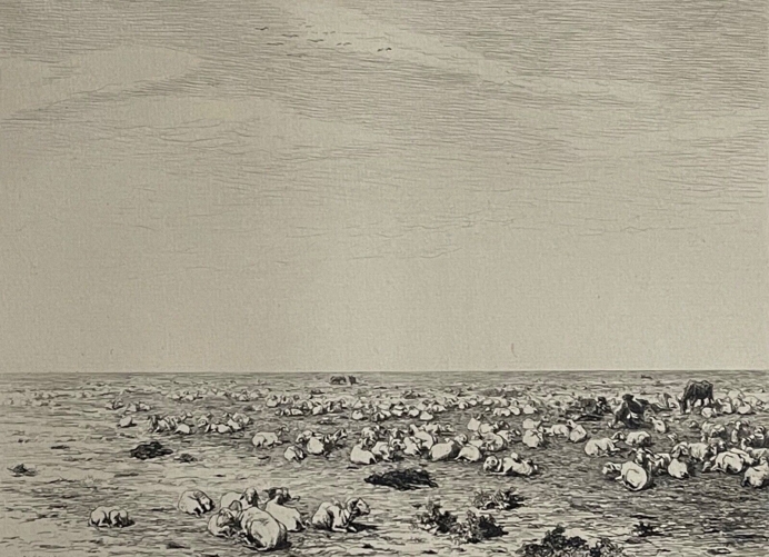 troupeaux_de_dans_la_crau_provence_xixe_pointe_seche_burnand_1884_mouton_france