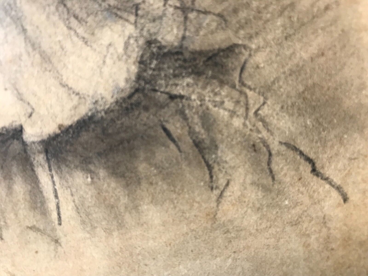 tete_dhomme_a_la_fraise_fusain_fixe_anonyme_du_xixe