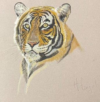 tigre_par_henri_fanjul_xx-xxi_fauve_aquarelle
