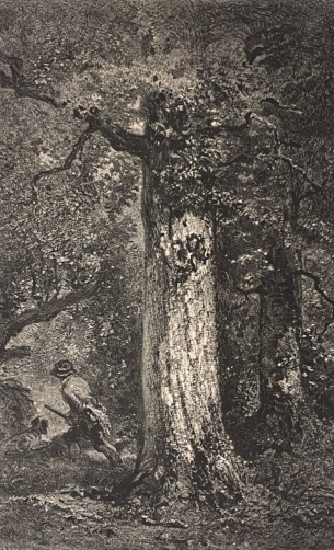 narcisse_diaz_de_la_pena_chasse_affult_lithographie_par_adolphe_mouilleron_1853
