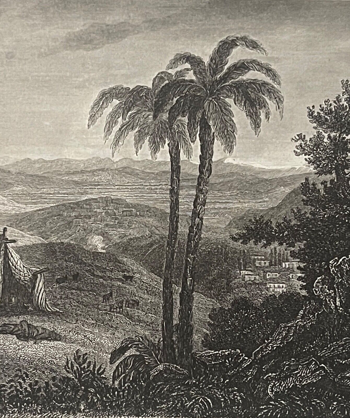 lattaquie_syrie_laodiciee_gravee_par_ransonnette_1745-1810_gravure_de_1837