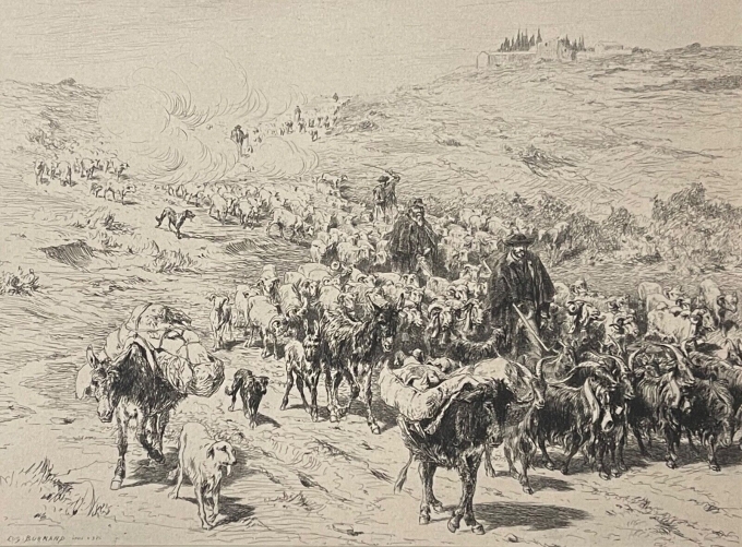 la_descente_des_troupeaux_provence_xixe_pointe_seche_burnand_1884_france