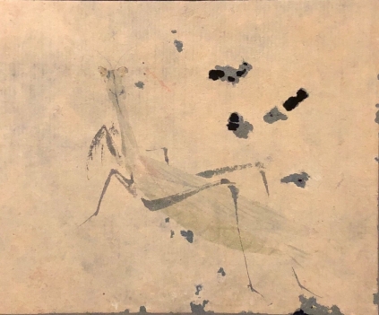 japon_aquarelle_tres_ancienne_entomologie_insecte_mante_religieuse