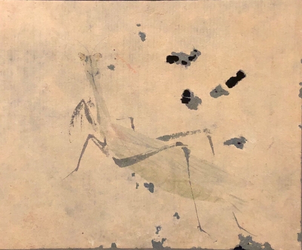 japon_aquarelle_tres_ancienne_entomologie_insecte_mante_religieuse