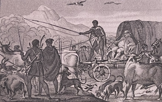 afrique_du_sud_paysan_hollandais_cap_de_bonne_esperance_vers_1821