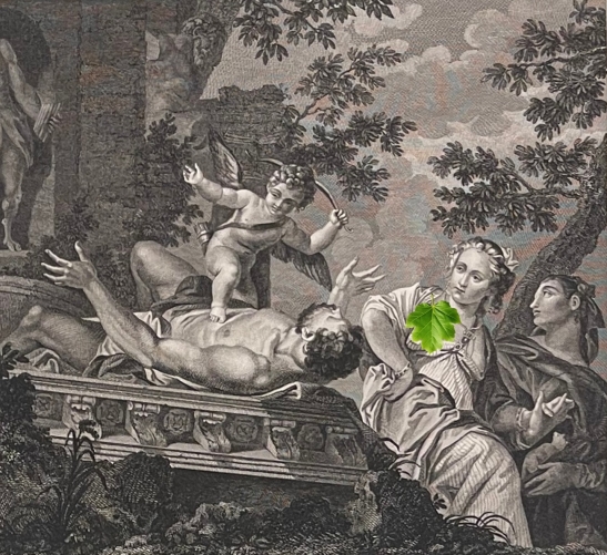 paolo_veronese_le_degout_gravure_1786_par_patas_ecole_italie_cupidon_eros