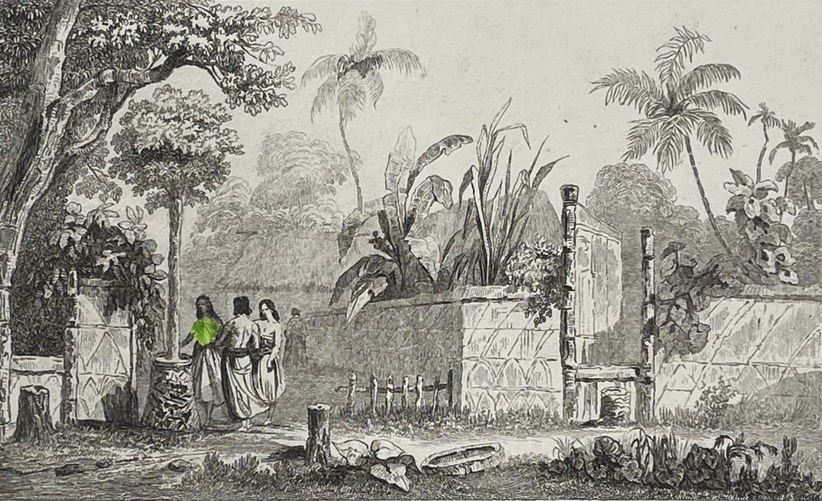 archipel_de_tonga_cloture_de_maisons_oceanie_1837_polynesie