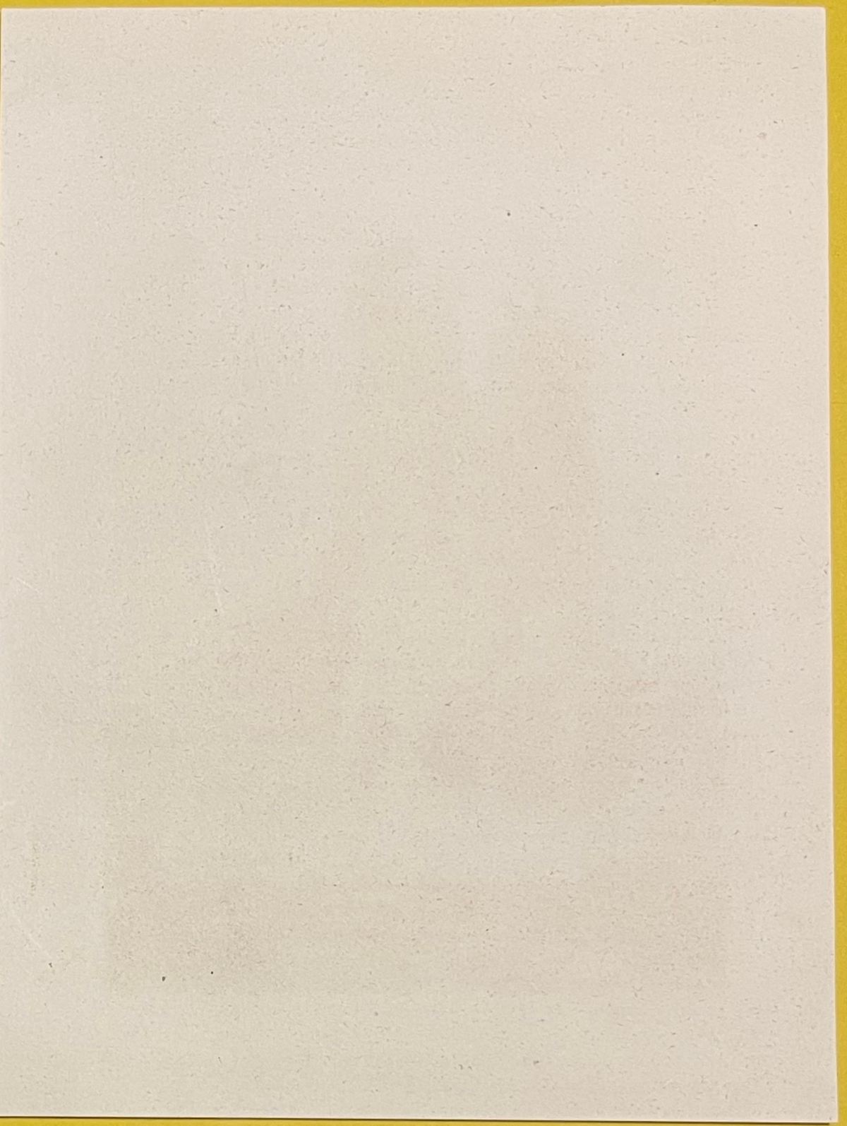 reims_cathedrale_notre-dame_marne_champagne_gravure_par_rouargue_1838_france
