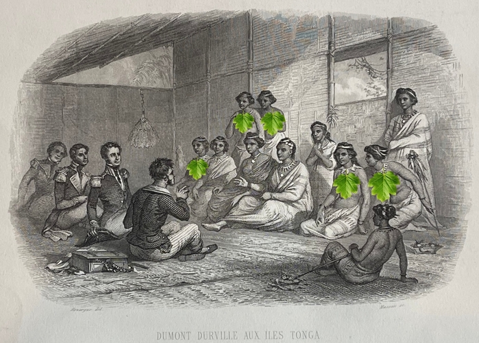iles_tonga_dumont_durville_puleanga_fakatui_o_tonga_polynesie_gravure_1857