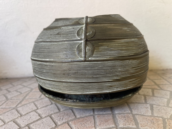 chevillere_baoule_golfe_de_guinee_afrique_1kg_575_grammes