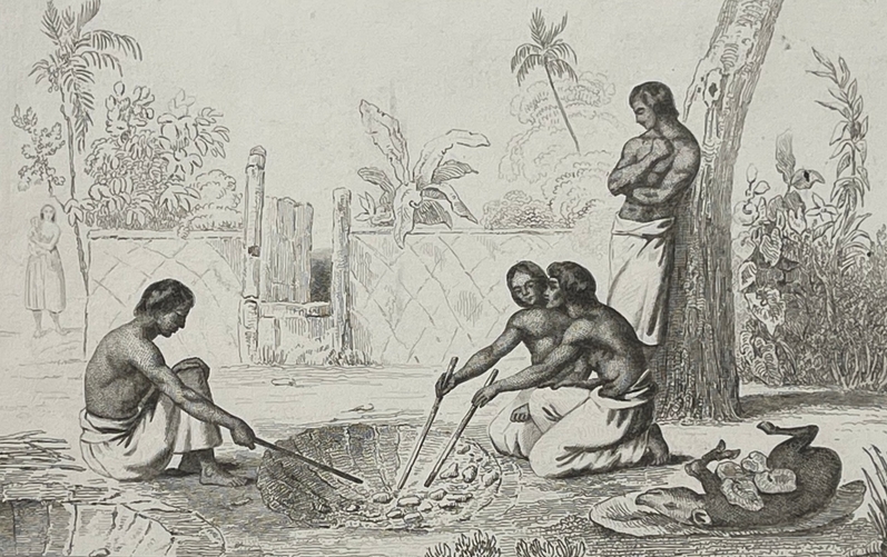 four_en_terre_iles_tonga_oceanie_gravure_de_1837_cuisson_cuisine_polynesie