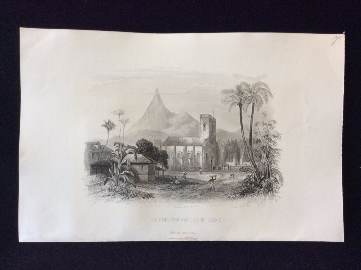 les_pamplemousses,_ile_colombie__lithographie_1857_par_rouargue_xixe_columbia_