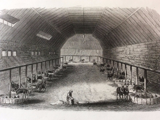 interieur_dune_hacienda,_chili__lithographie_1857_rouargue_xixe_amerique_du_sud_
