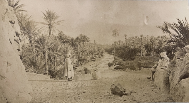 algerie_oasis_sahara_desert_albumine_vers_1870_afrique