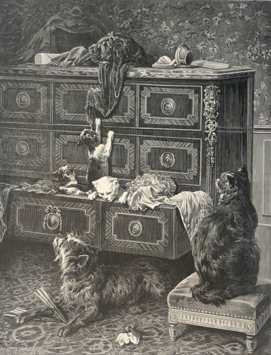 chat_installation_provisoire_estampe_vers_1885_xylographie_chien_chats
