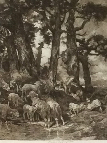 troupeau_sous-bois__charles_emile_jacque_1813-1894__helio_georges__petit_barbizon