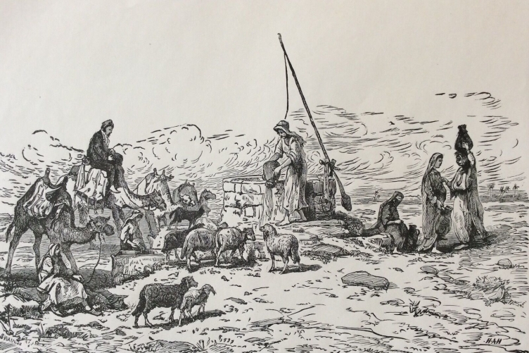 israel,_palestine__troupeaux_a_labreuvoir__gravure_sur_acier_1892_