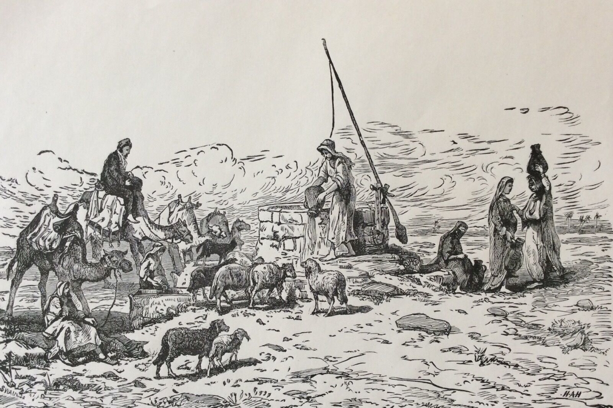 israel,_palestine__troupeaux_a_labreuvoir__gravure_sur_acier_1892_