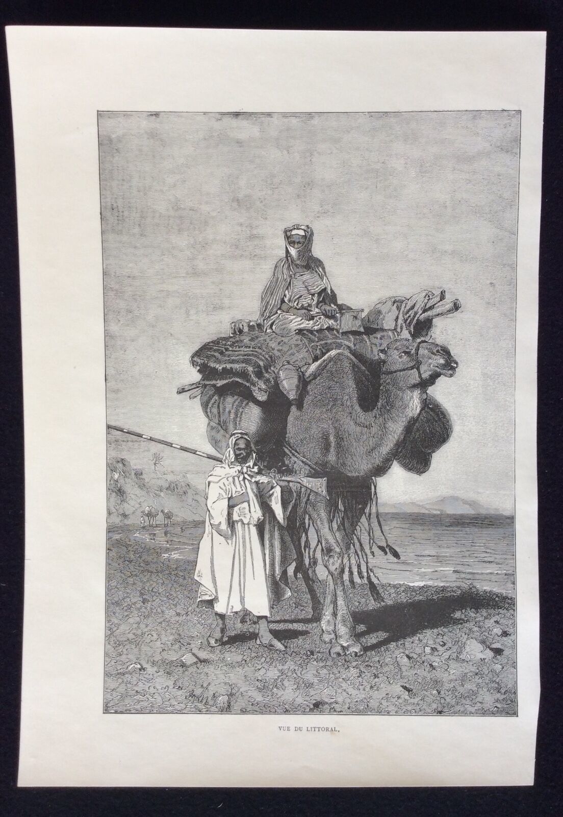 israel,_palestine__vue_du_littoral__gravure_sur_acier_1892_