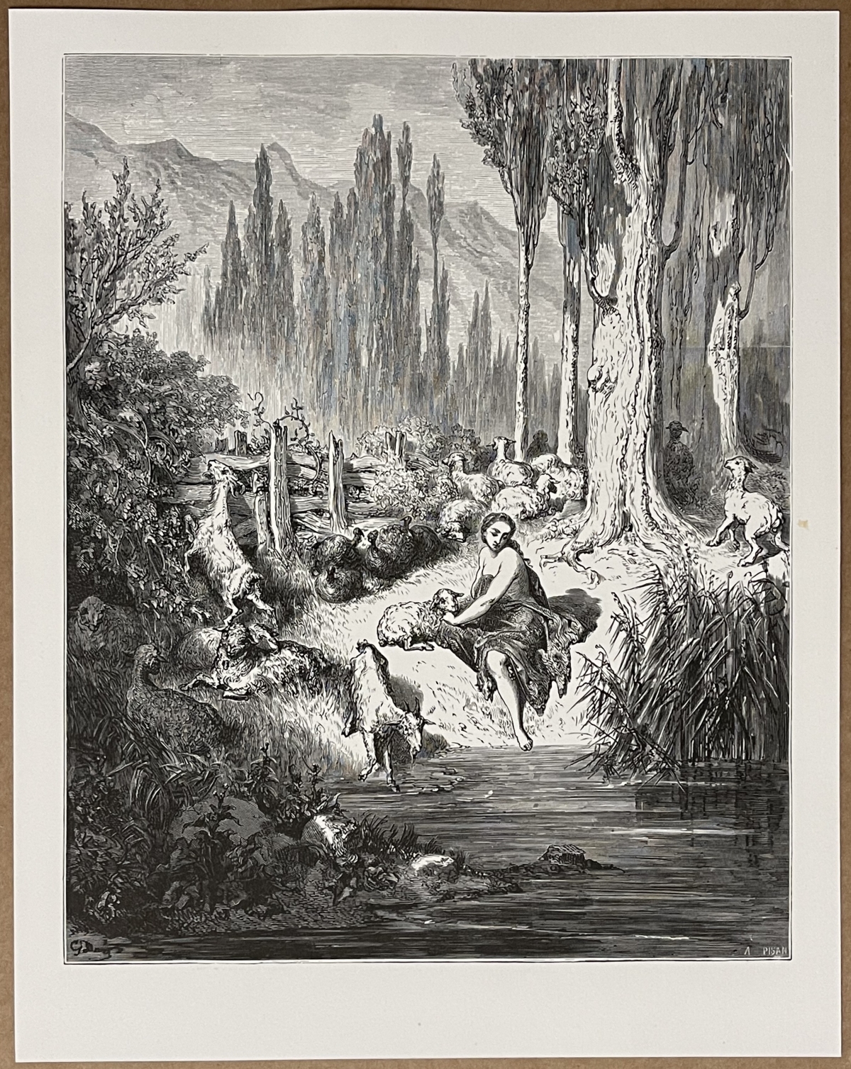 gustave_dore_1862_charles_perrault_peau-dane_estampe_originale_h_pizan