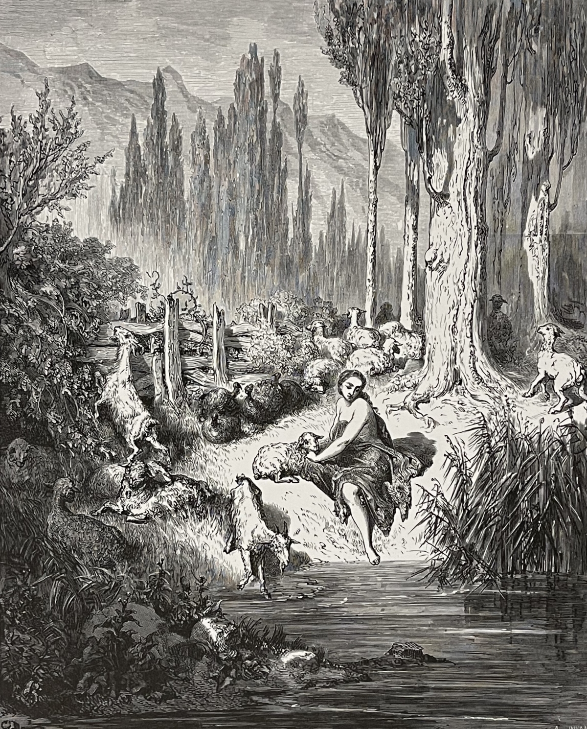 gustave_dore_1862_charles_perrault_peau-dane_estampe_originale_h_pizan