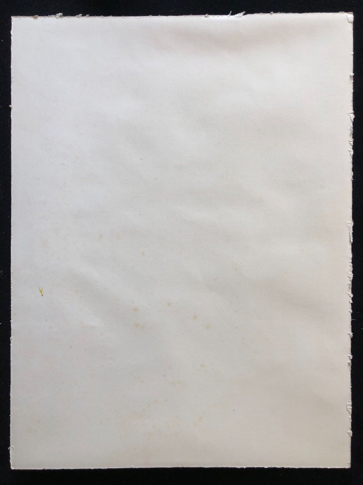 expressionnisme,_peinture_sur_papier__portrait_expressionniste_anonyme_