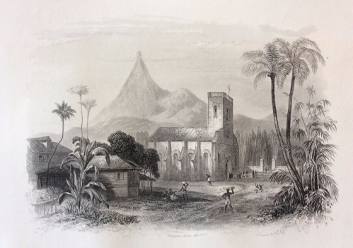 les_pamplemousses,_ile_colombie__lithographie_1857_par_rouargue_xixe_columbia_