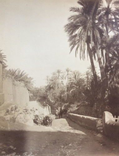 algerie__biskra_tirage_albumine_depoque_voyage_1884__27,3cm_x_20,8cm,_anonyme_