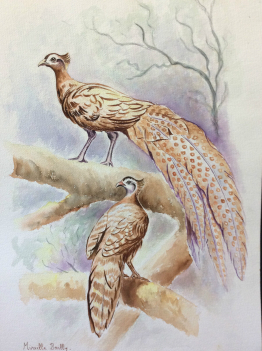 grande_aquarelle__oiseaux_signee_mireille_bailly_