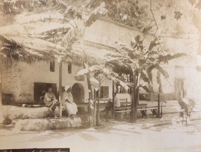 algerie__1884_tirage_albumine_depoque__27,2_cm_x_20,8_cm__cafe_alger_jardin_dessais_