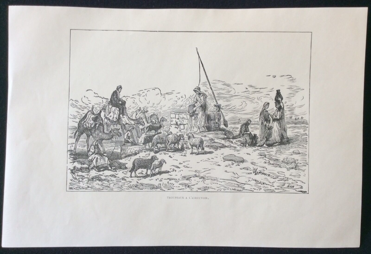 israel,_palestine__troupeaux_a_labreuvoir__gravure_sur_acier_1892_