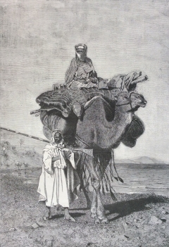 israel,_palestine__vue_du_littoral__gravure_sur_acier_1892_