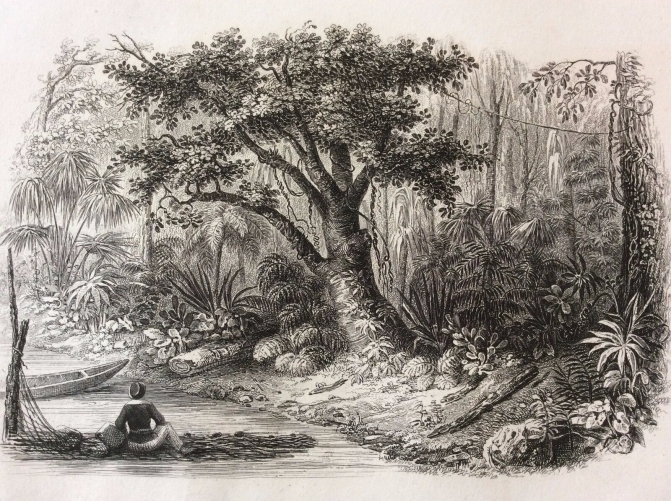 foret,_plage,_ile_peel_ile_de_man__lithographie_1857_par_rouargue_xixe_isle_of_man_
