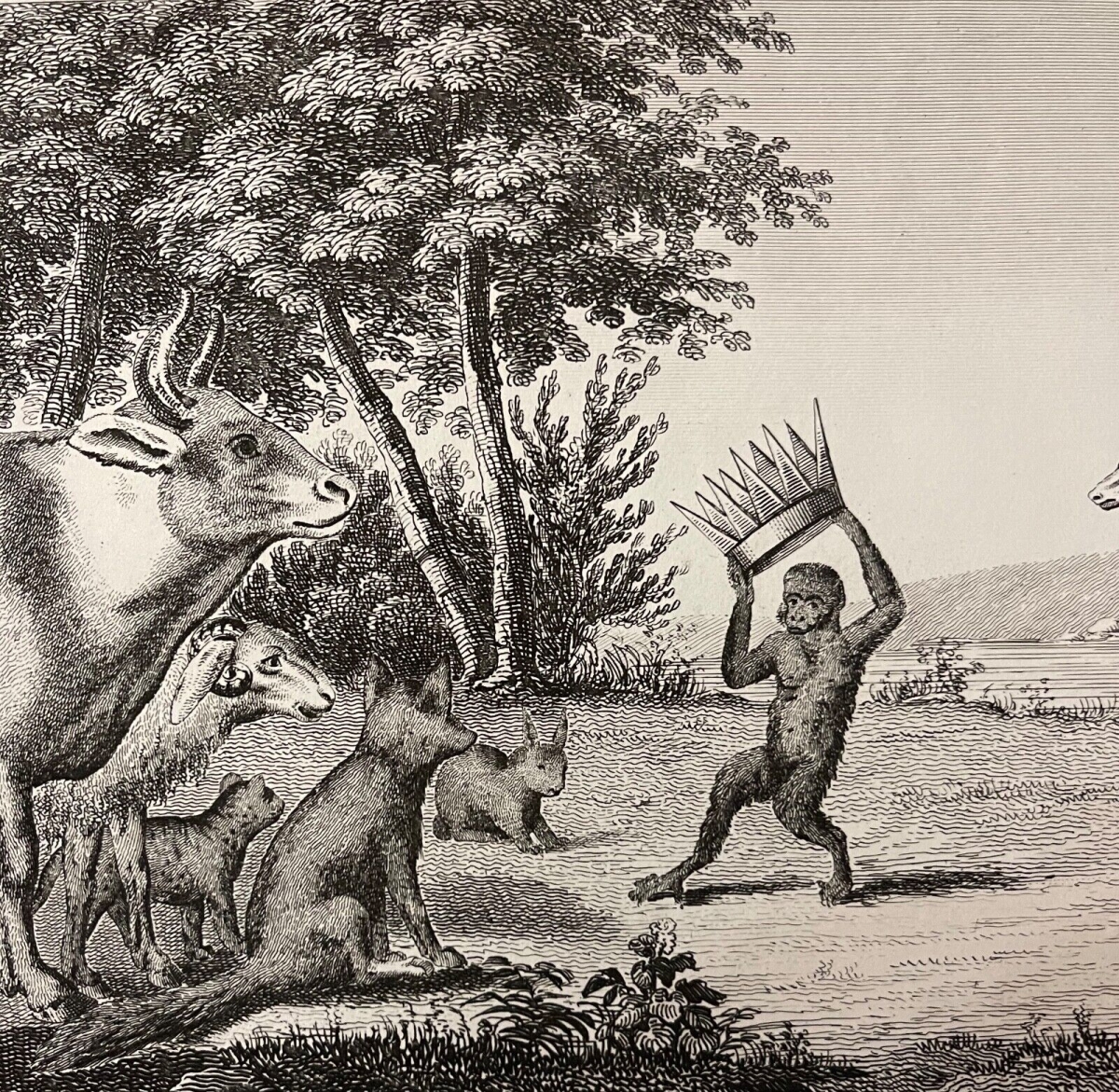 le_musicien_ambulant,_baron_henri__aquatinte_xixe_bertauts_musician