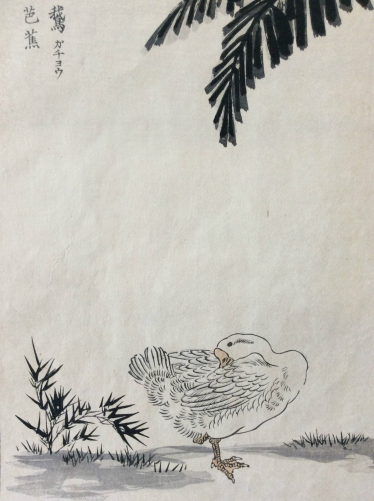 kono_naotoyo_bairei__estampe_japonaise,_canard__maitre_kacho-e_xix_e_japon_nippon_