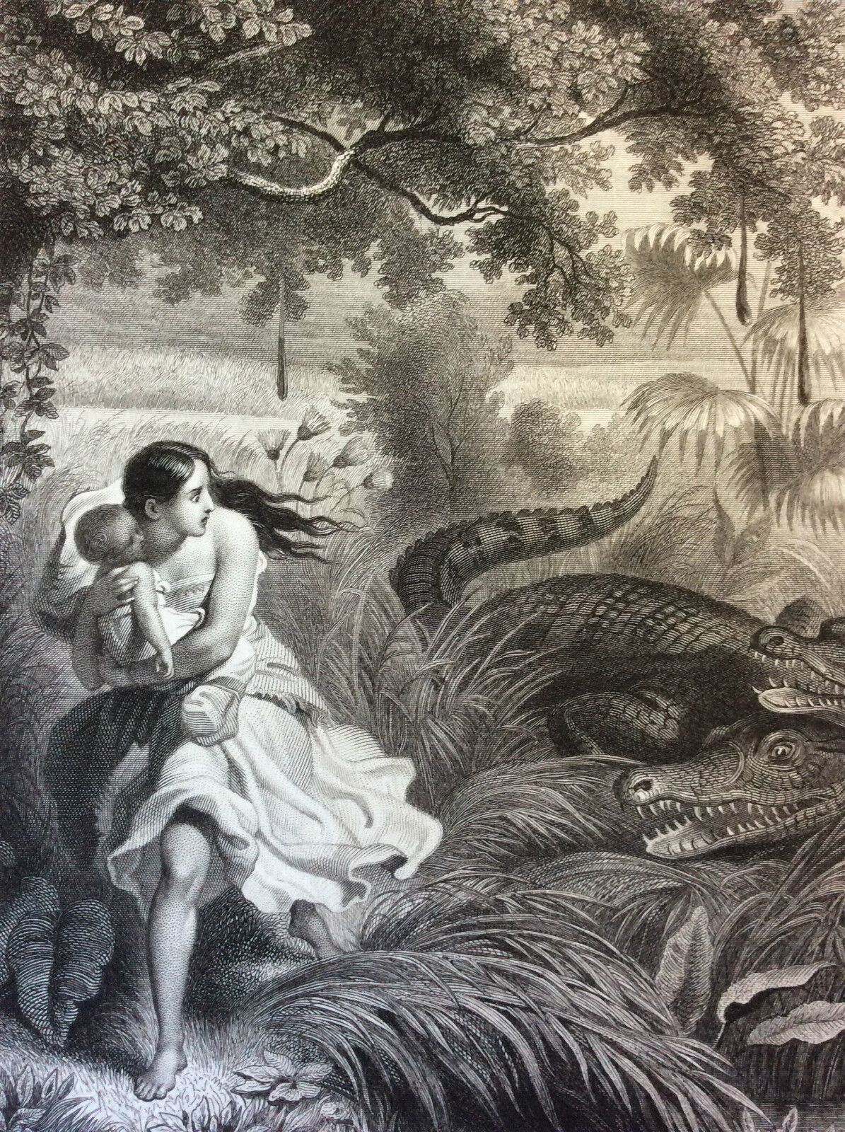 celuta_poursuivi_par_les_alligators_gilquin_et_dupain_circa_1859