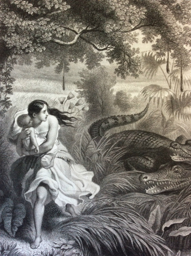 celuta_poursuivi_par_les_alligators_gilquin_et_dupain_circa_1859