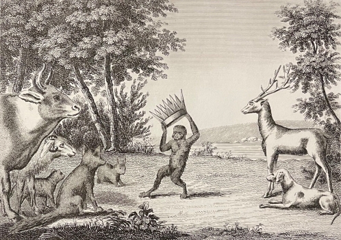 le_musicien_ambulant,_baron_henri__aquatinte_xixe_bertauts_musician