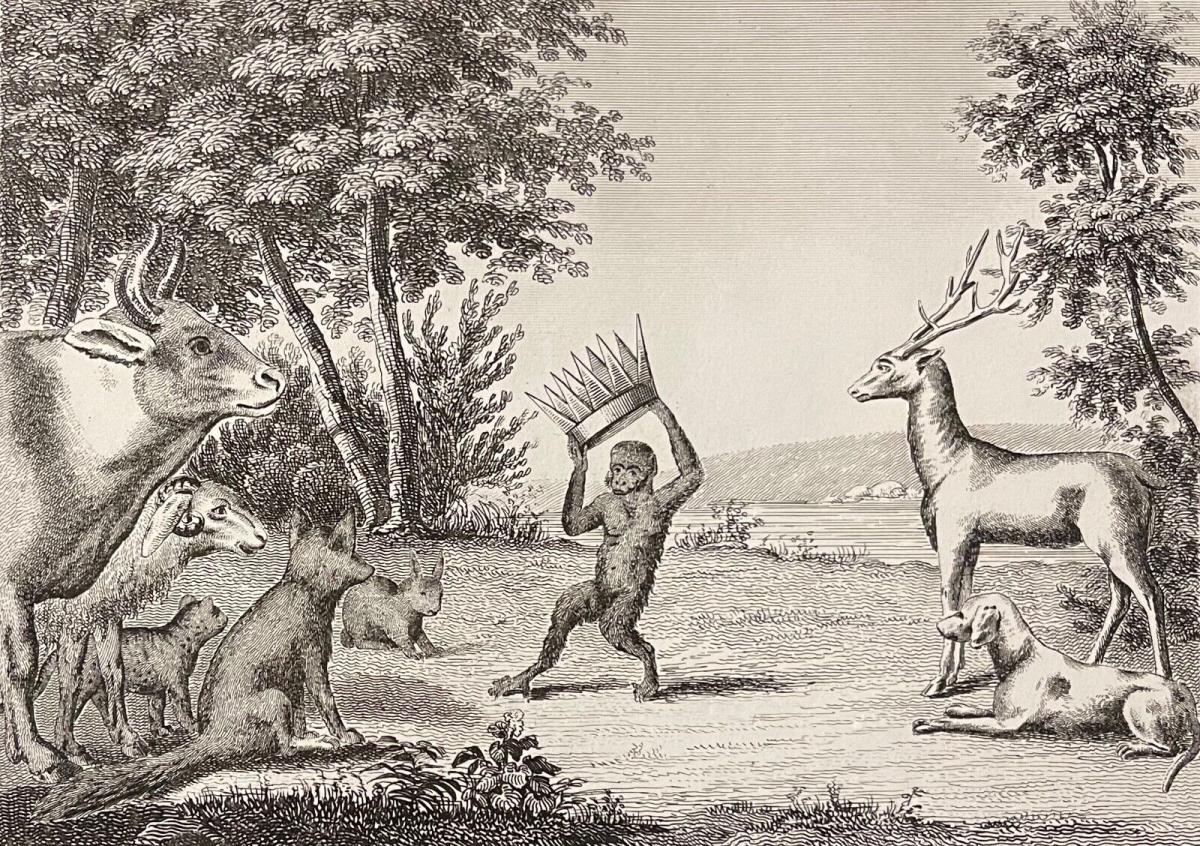 le_musicien_ambulant,_baron_henri__aquatinte_xixe_bertauts_musician