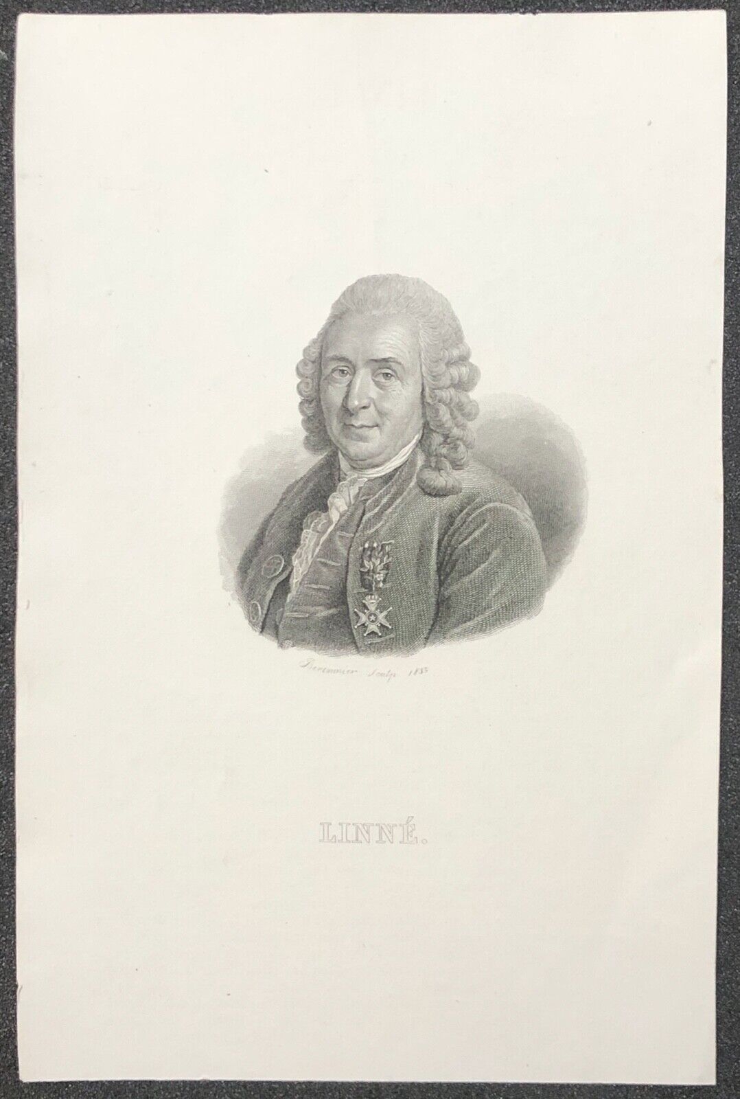 carl_linnaus_puis_carl_von_linne,_naturaliste_suedois_1707-1778_naturaliste__grave_par_bertonnier_1833