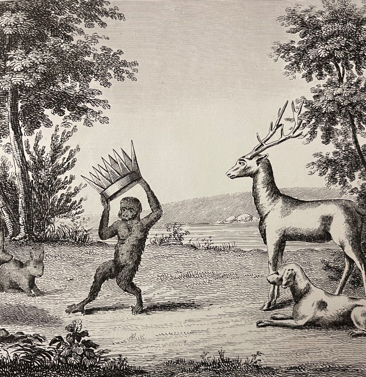 le_musicien_ambulant,_baron_henri__aquatinte_xixe_bertauts_musician