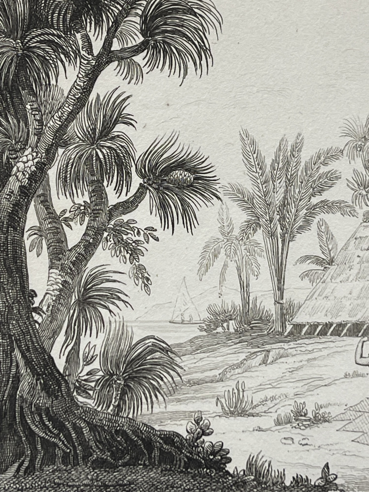 caroline_islands_radak_island_original_antique_engraving_micronesia_1836_oceanie