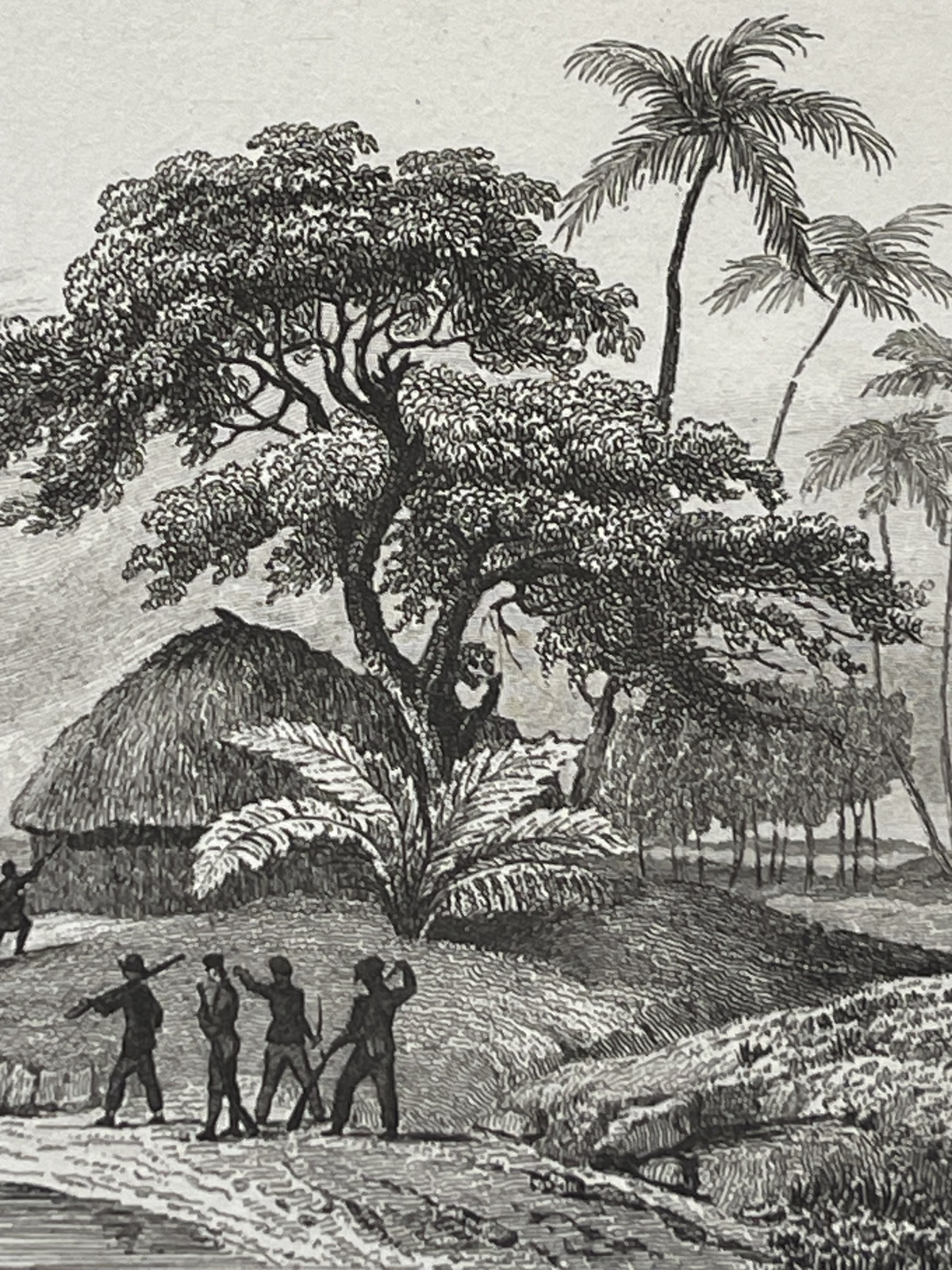 tonga_1836_engraving_french_attack_on_chief_tahofas_houses_pacific