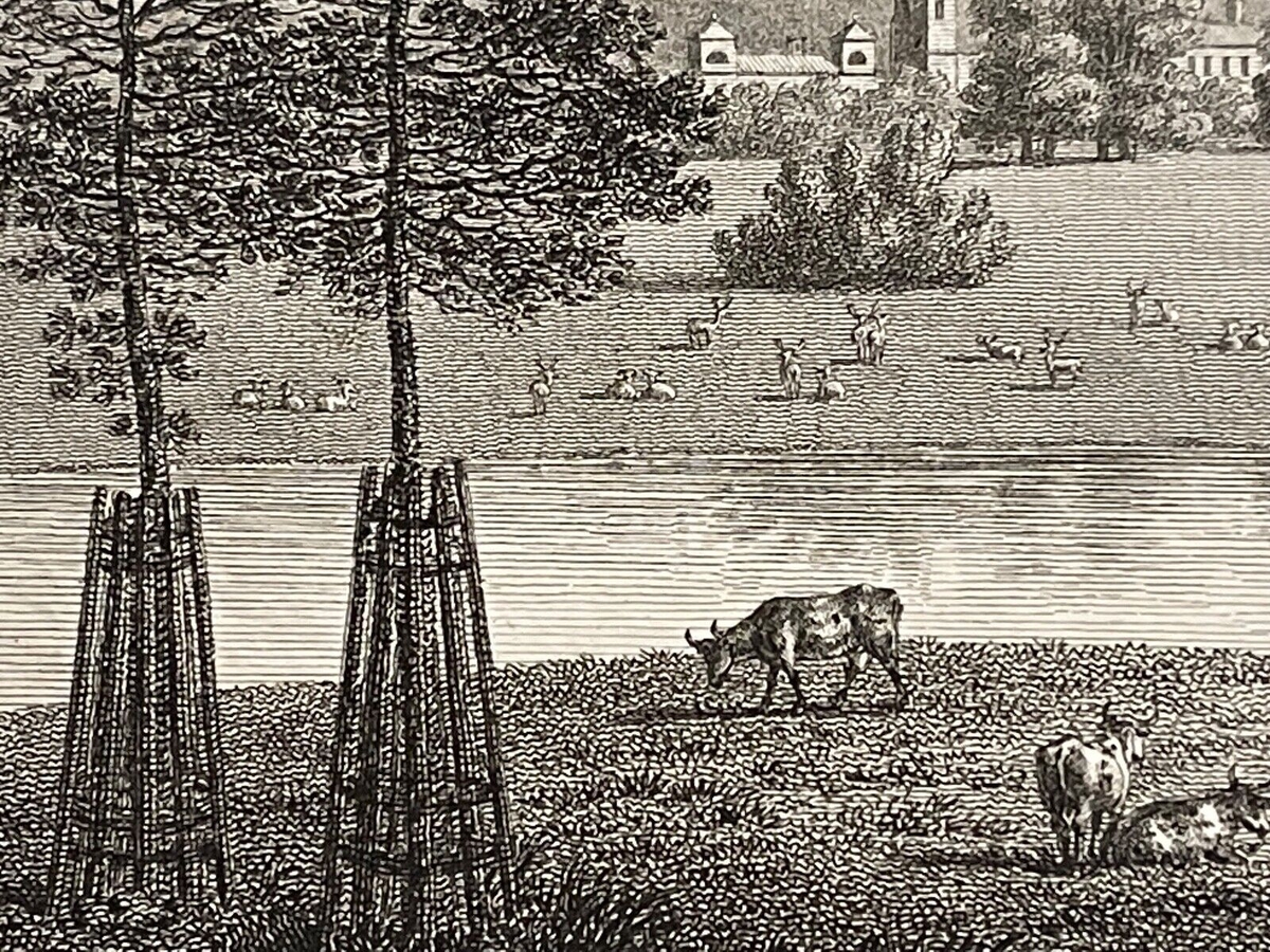ashburnham_park_in_sussex__dapres_w_watts_1779_united_kingdom