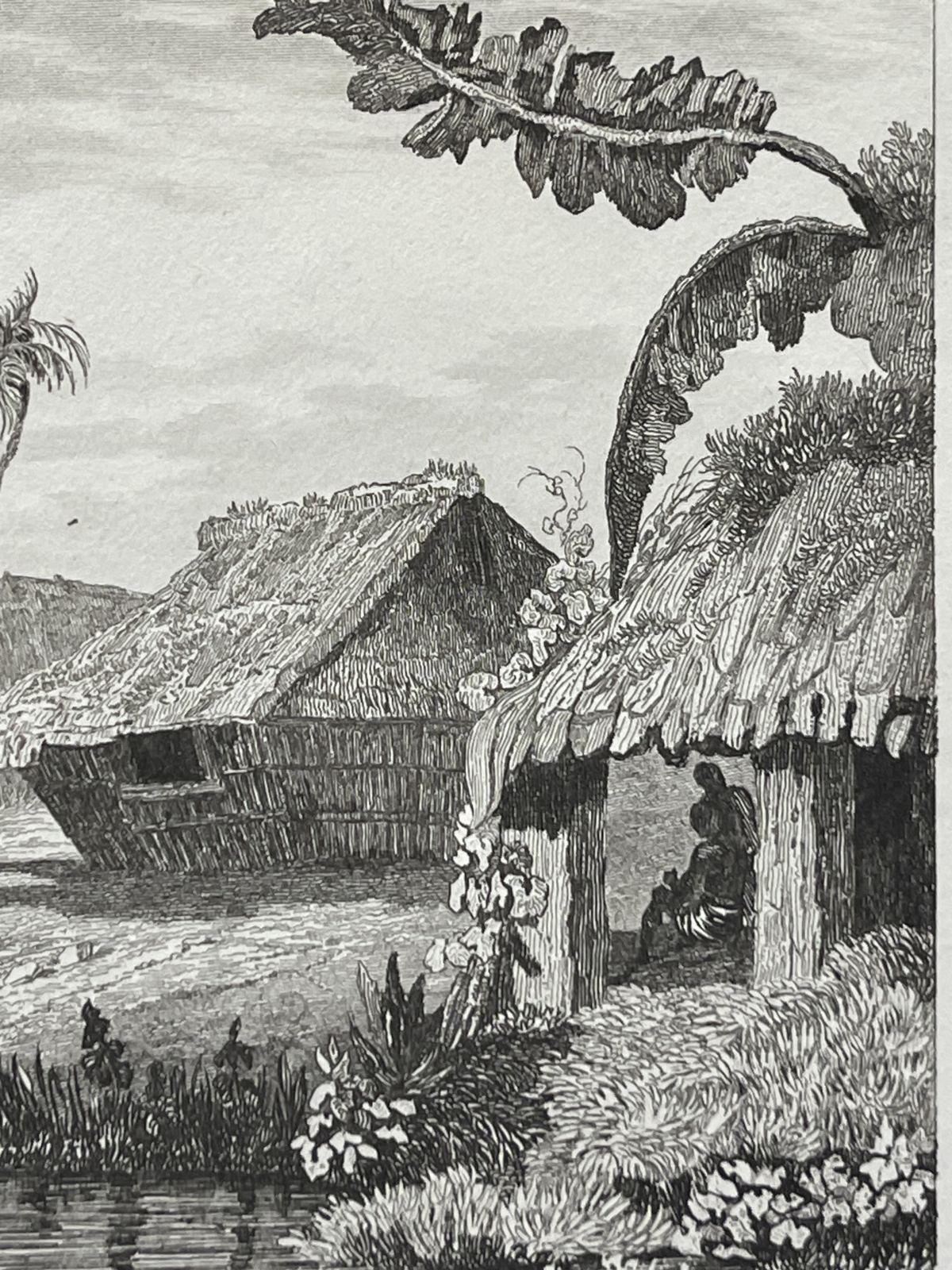 tonga_engraving_namuka_rotterdam_island_village_pacific_ocean_1836_oceanie