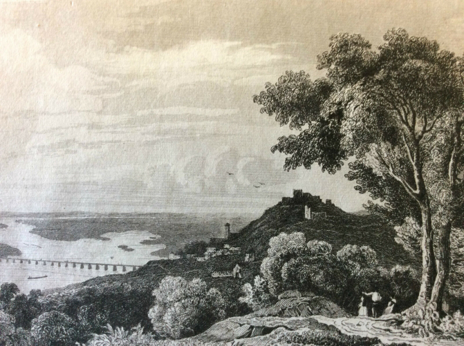 estampe_allemagne_danube_ratisbonne_milieu_xixe_siecle_deutschland