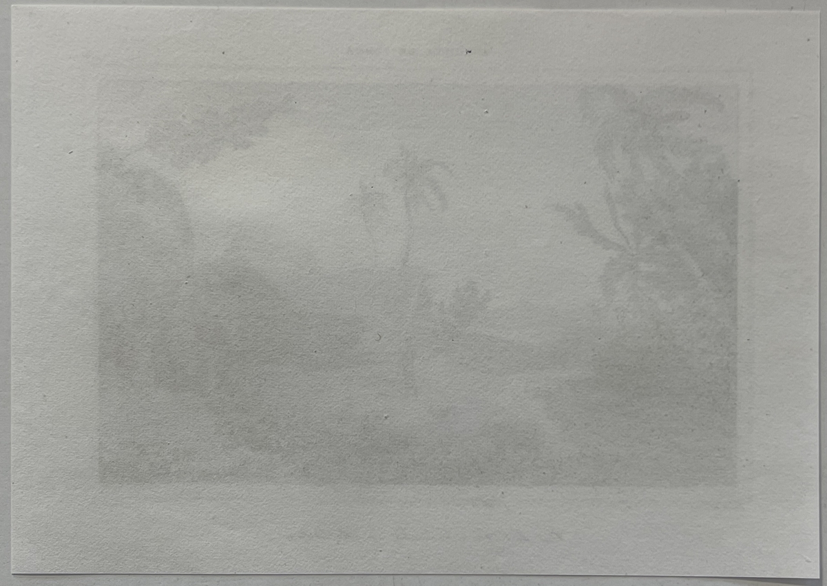 tonga_engraving_namuka_rotterdam_island_village_pacific_ocean_1836_oceanie