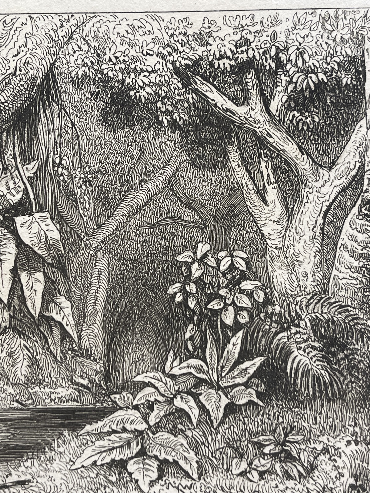 tahiti_two_young_tahitian_women_bathing_engraving_1836_polynesia_polynesie