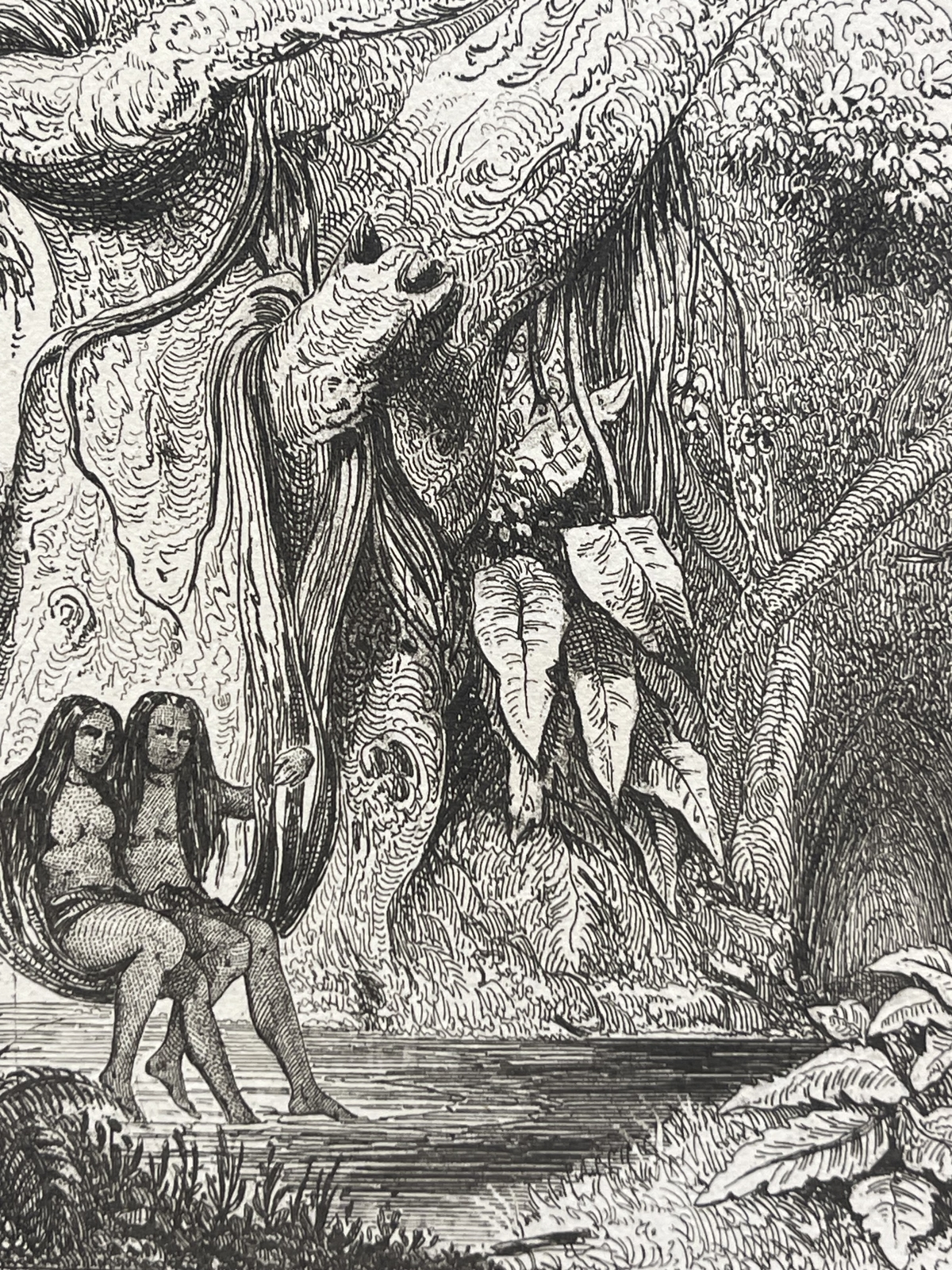 tahiti_two_young_tahitian_women_bathing_engraving_1836_polynesia_polynesie