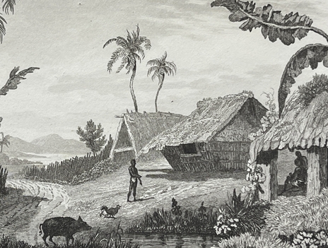 tonga_engraving_namuka_rotterdam_island_village_pacific_ocean_1836_oceanie